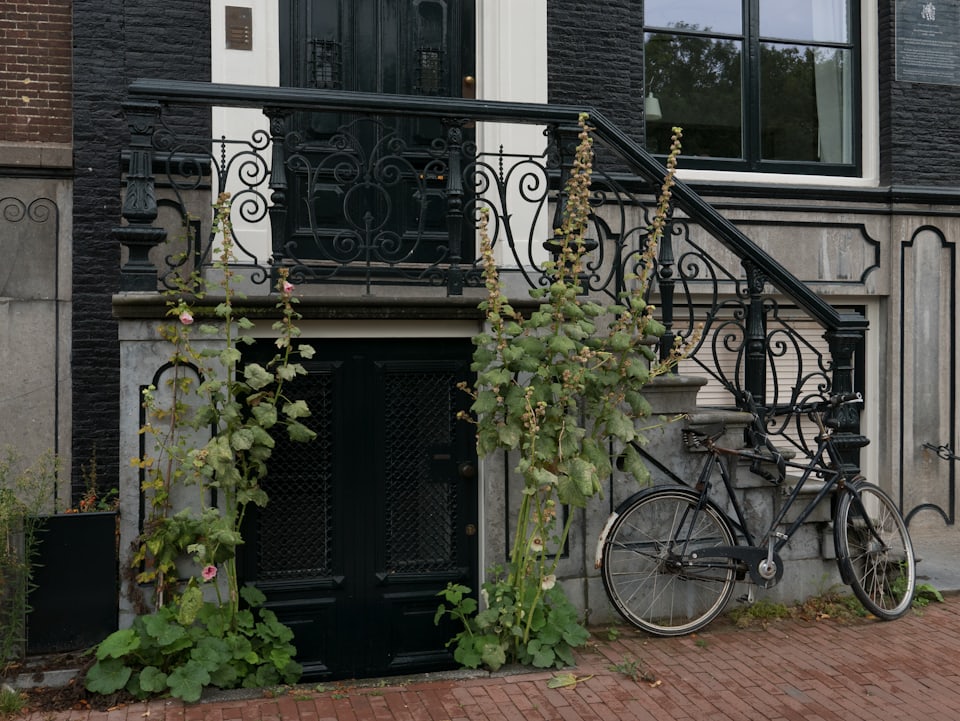 Stone front steps and an iron railing on a Dutch street, a bicycle leaning against them
